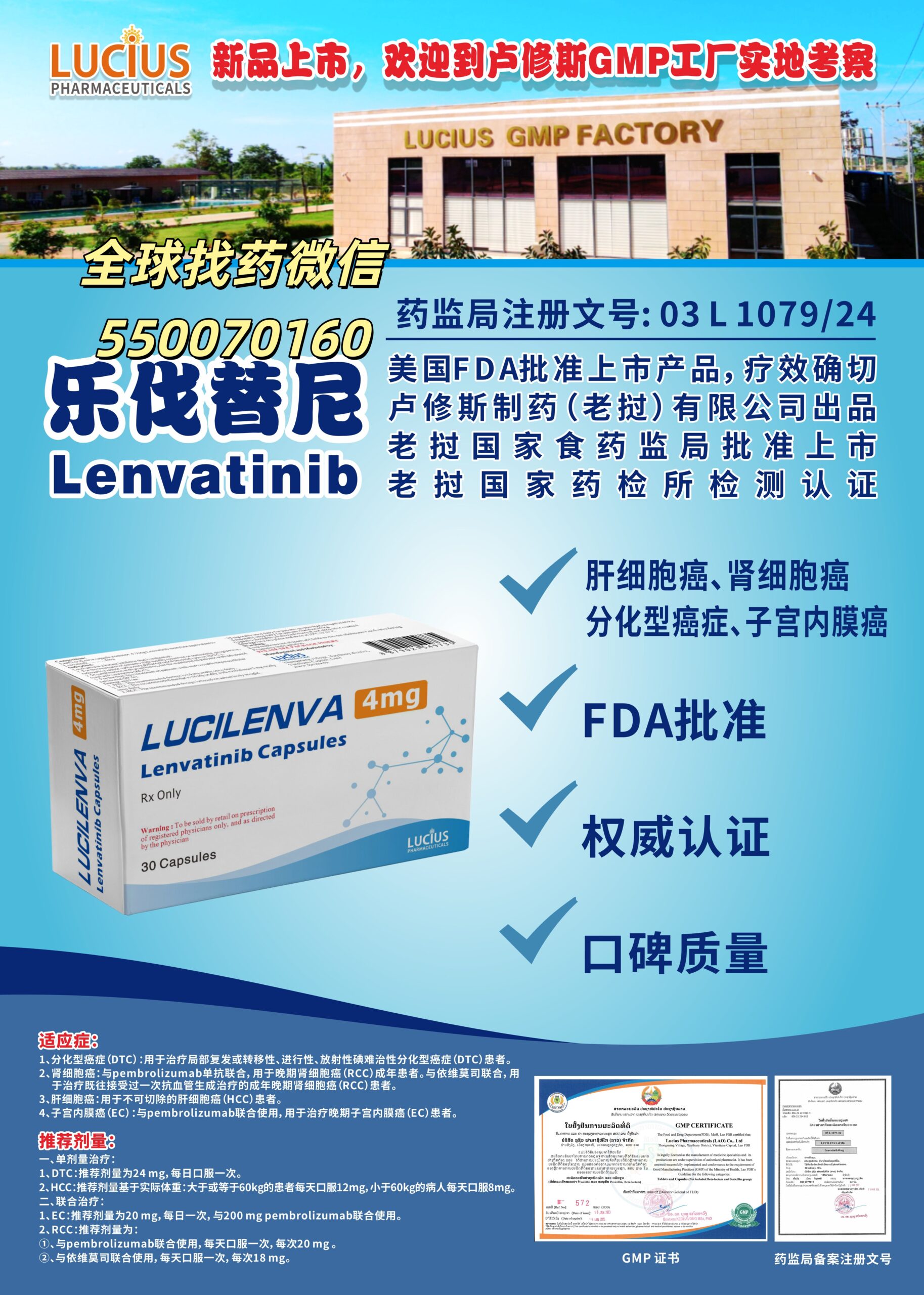 乐伐替尼：多癌种靶向治疗核心药物与印老孟三国代购指南